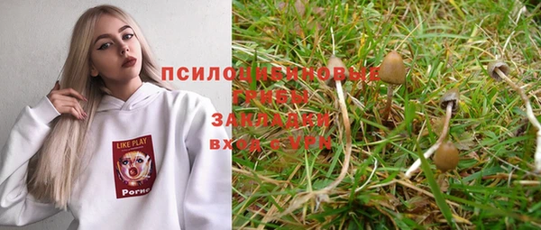 прущая мука Архангельск