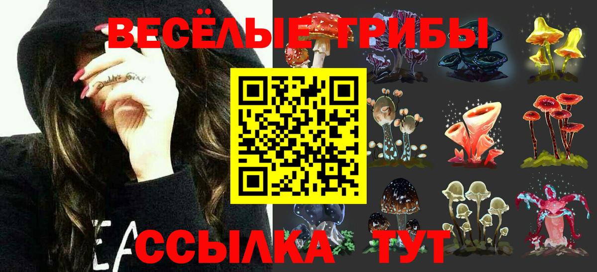 цена   Псилоцибиновые грибы GOLDEN TEACHER  Вход с VPN  Псилоцибиновые грибы GOLDEN TEACHER  Минеральные Воды 