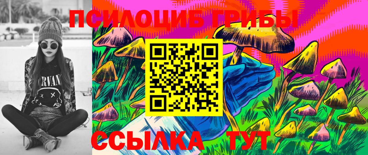 Псилоцибиновые грибы GOLDEN TEACHER Минеральные Воды